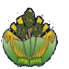 Logo Kampong Speu Province
