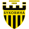 Logo Bukovyna 2